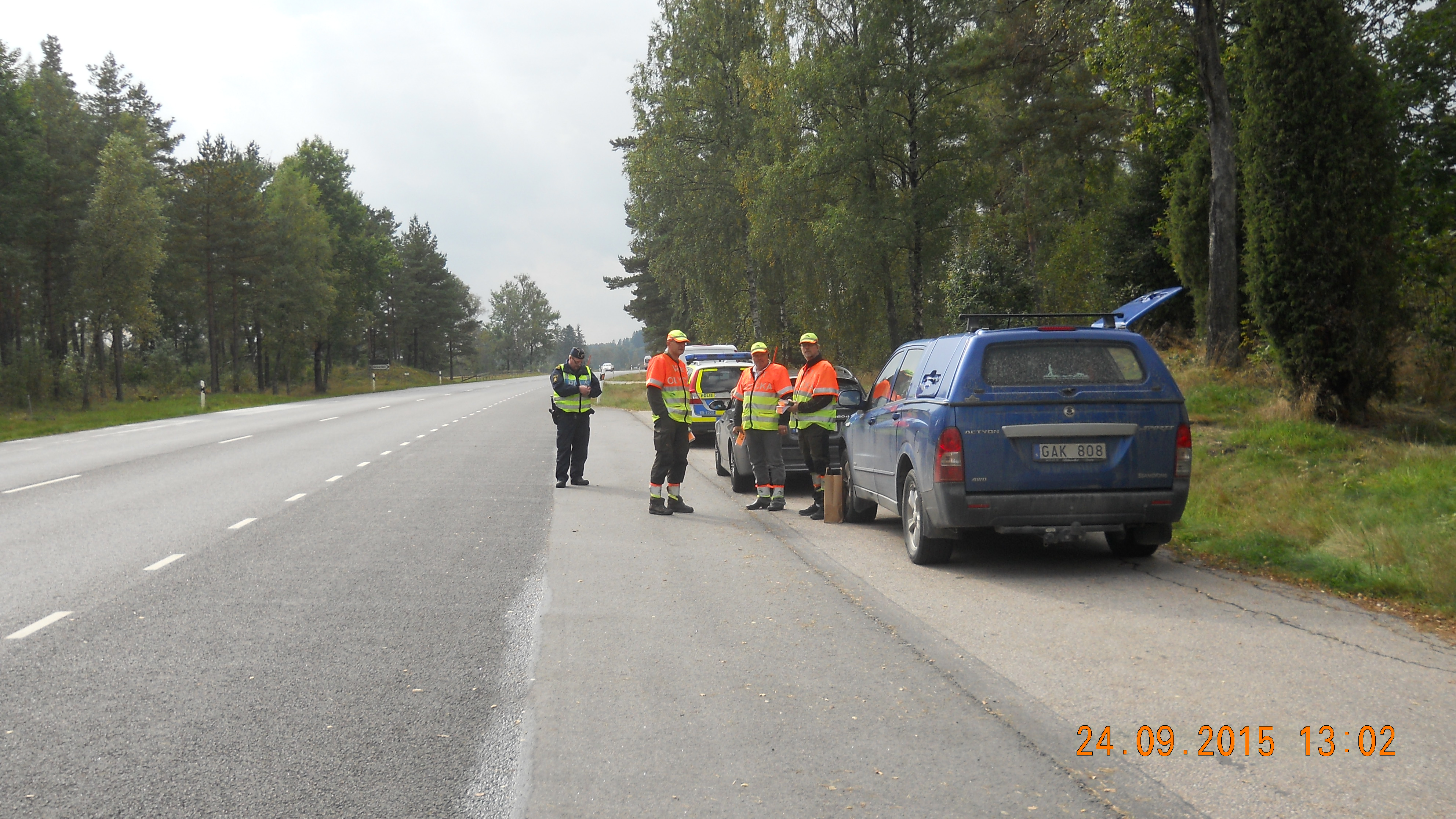 Viltinformation till bilister