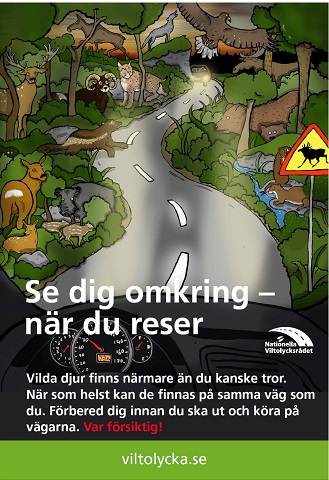 Se dig omkring