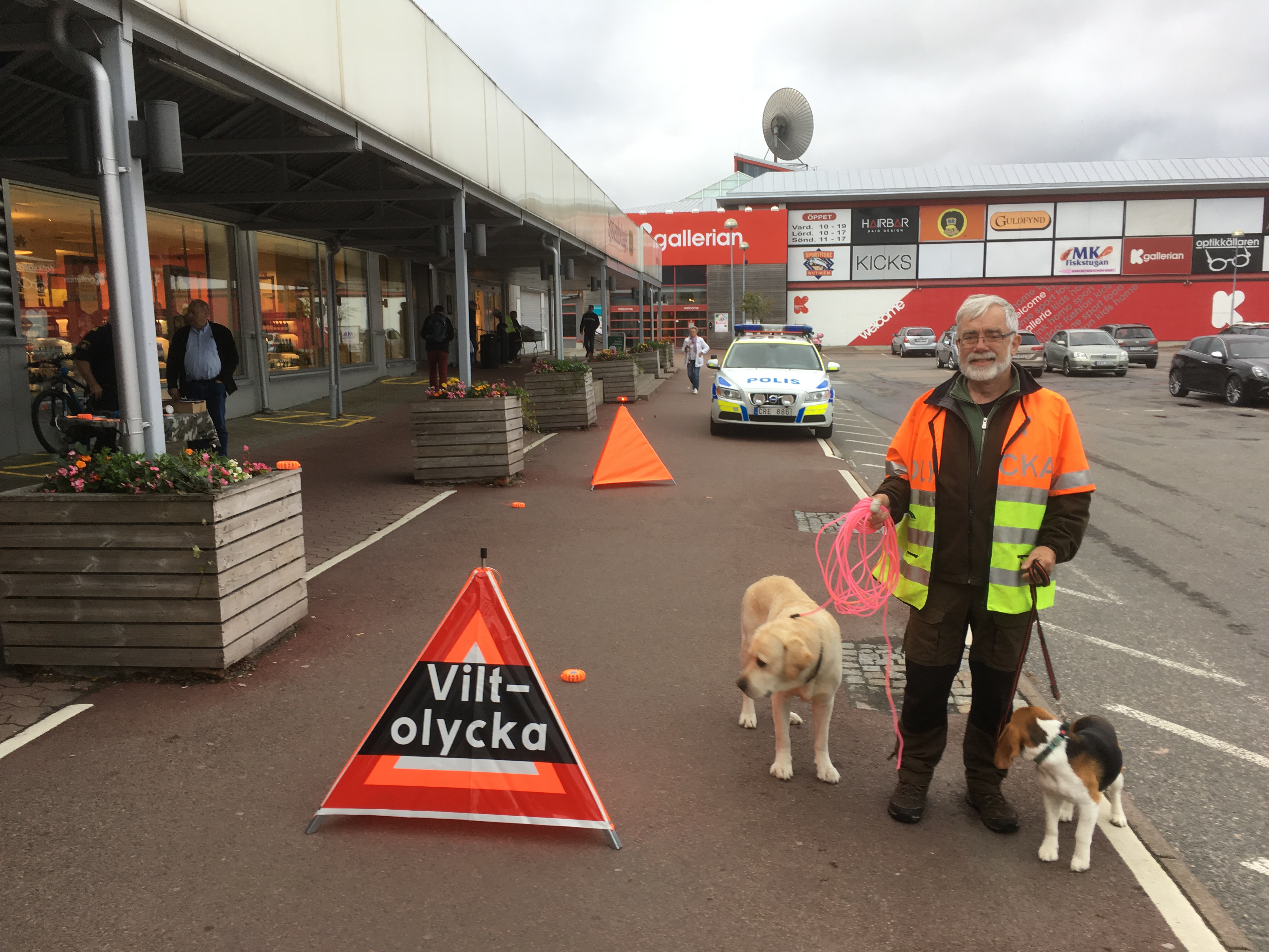 Insatsvecka 2016