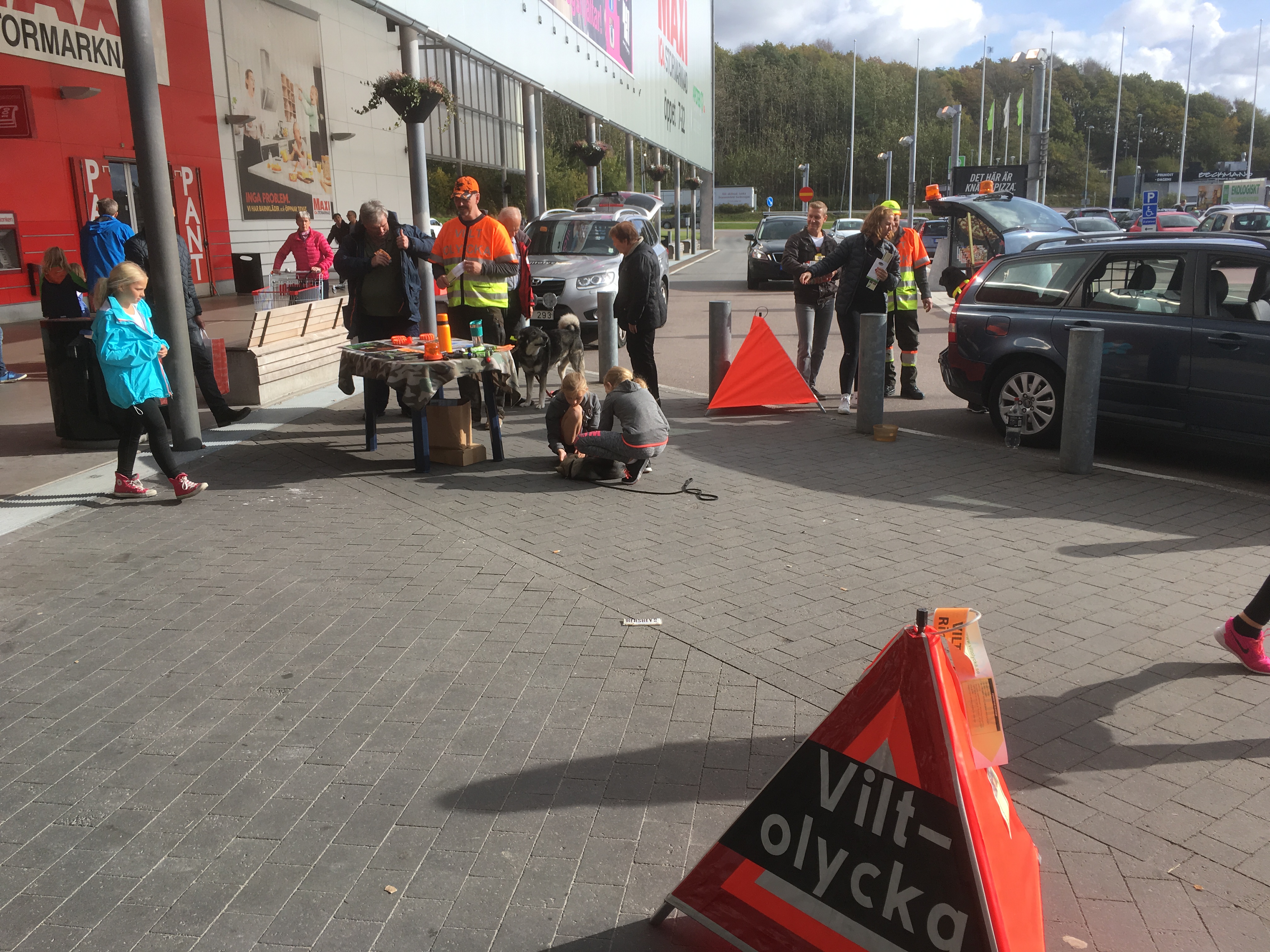 Insatsvecka 2016