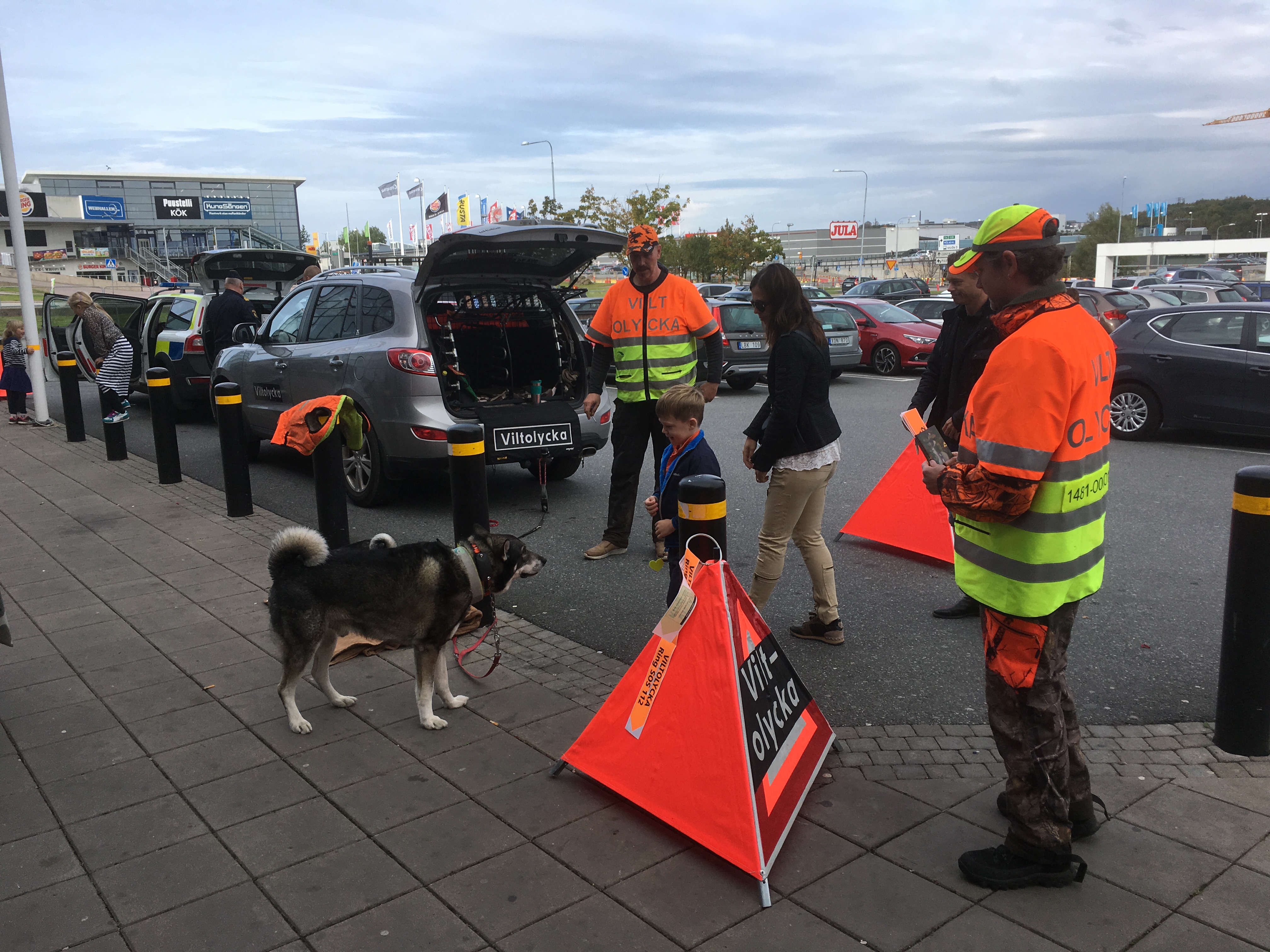 Insatsvecka 2016