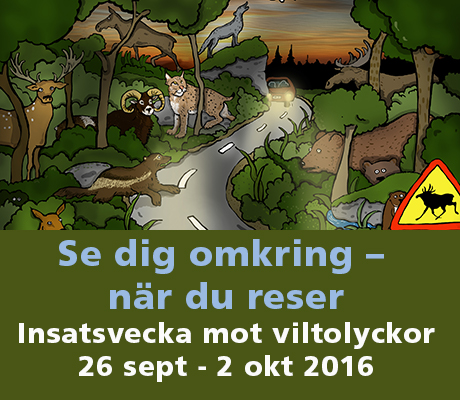 Se dig omkring när du reser