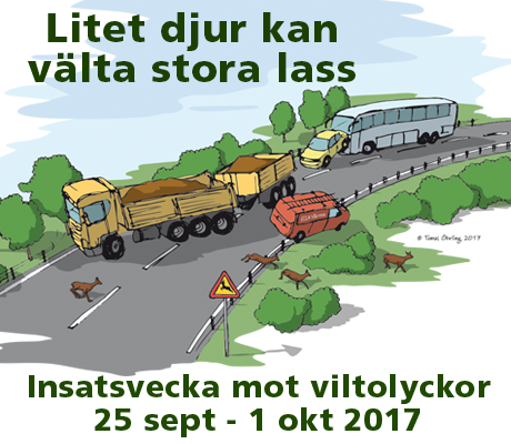 Litet djur
